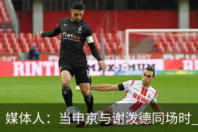 媒体人：当申京与谢泼德同场时 火箭的挡拆防守会被对手无情摧毁